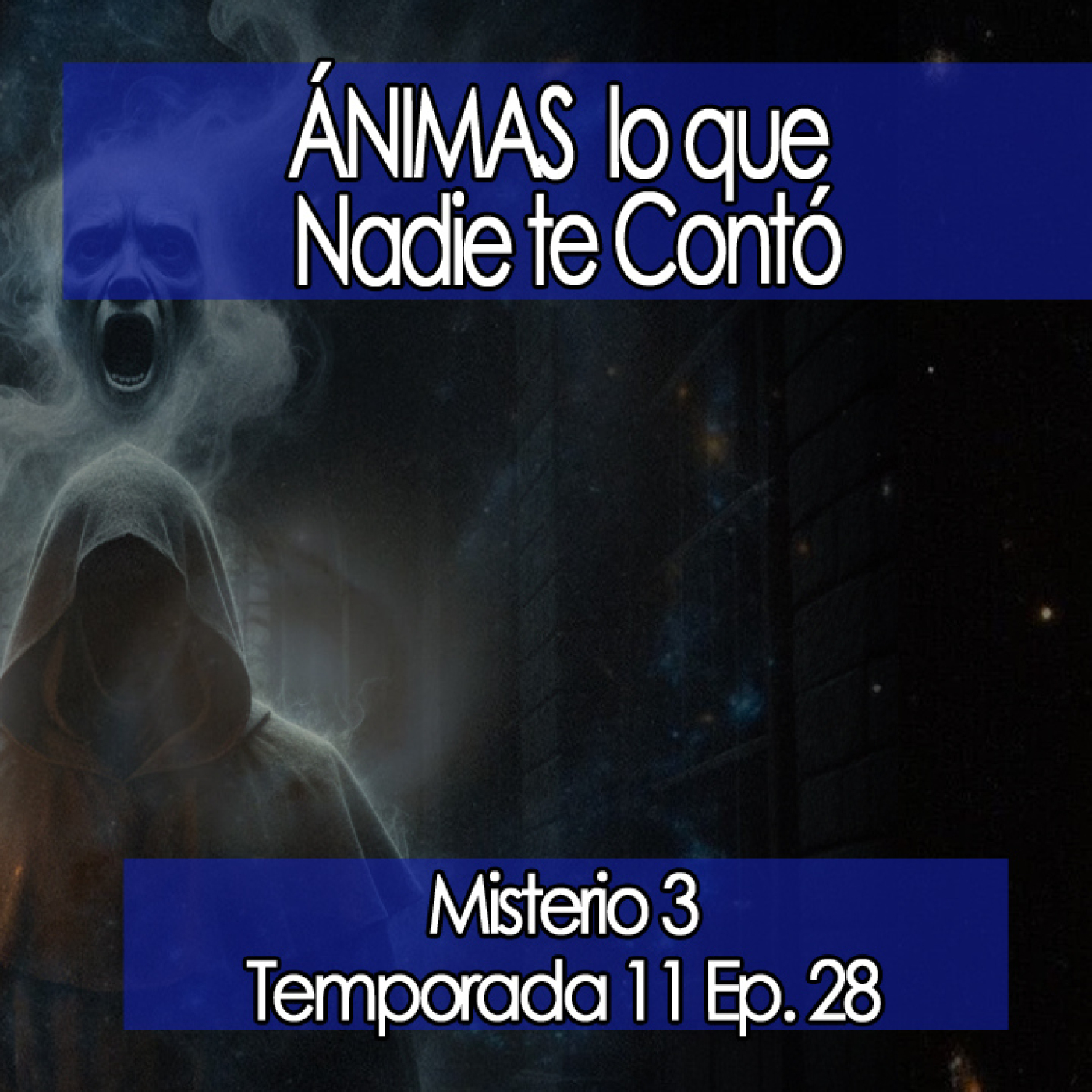 ÁNIMAS lo que Nadie te Contó  ️ [11x28]