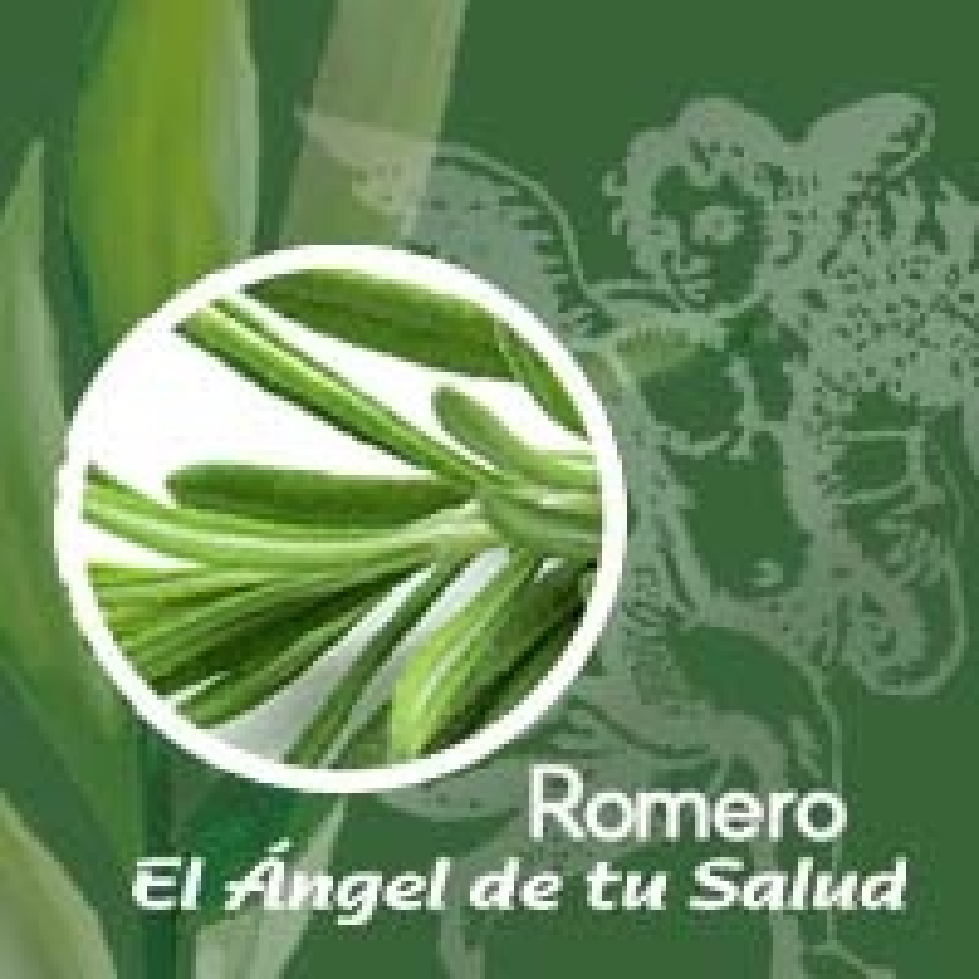 El Ángel de tu Salud - Romero** episode artwork
