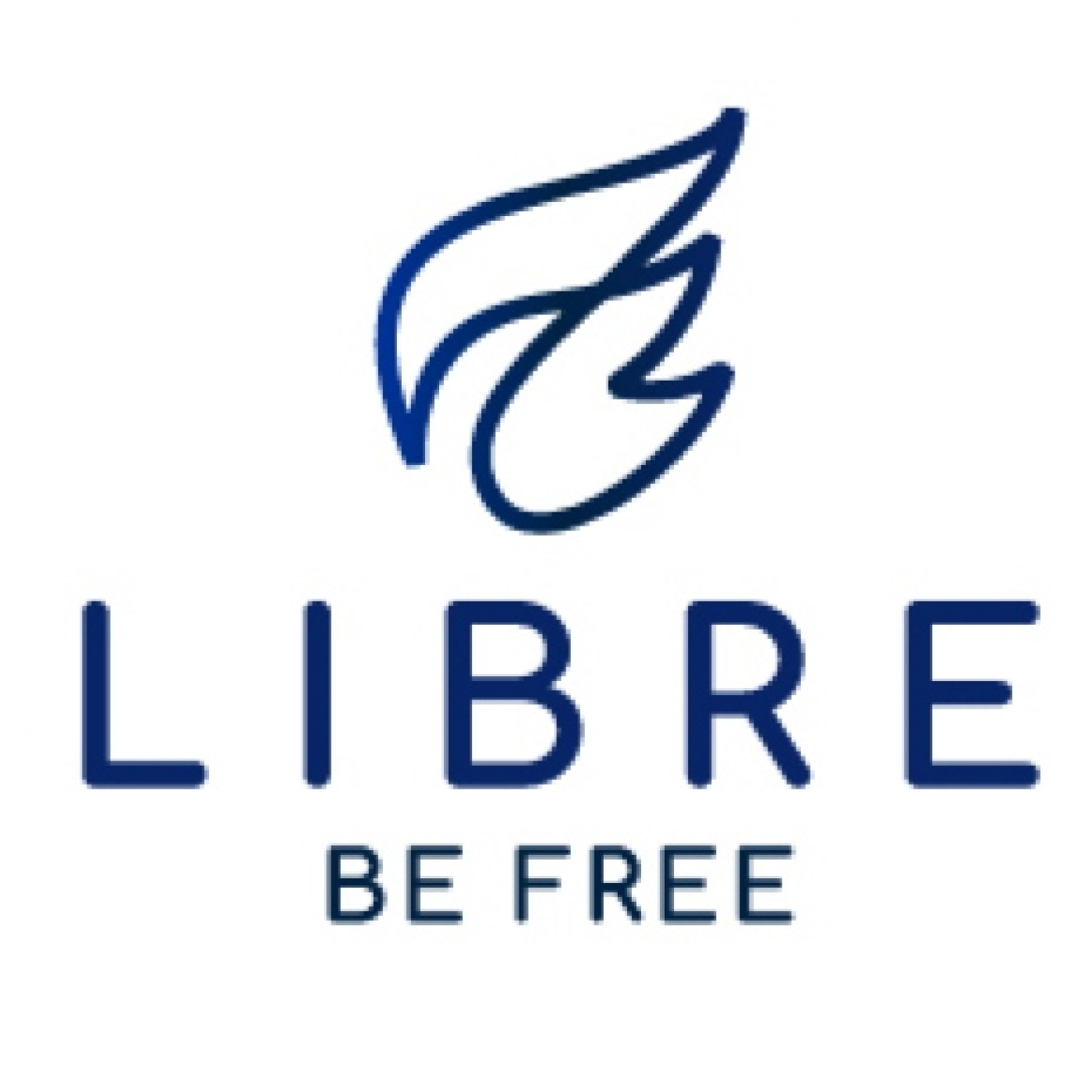 Libre: Construyendo una base financiera sólida