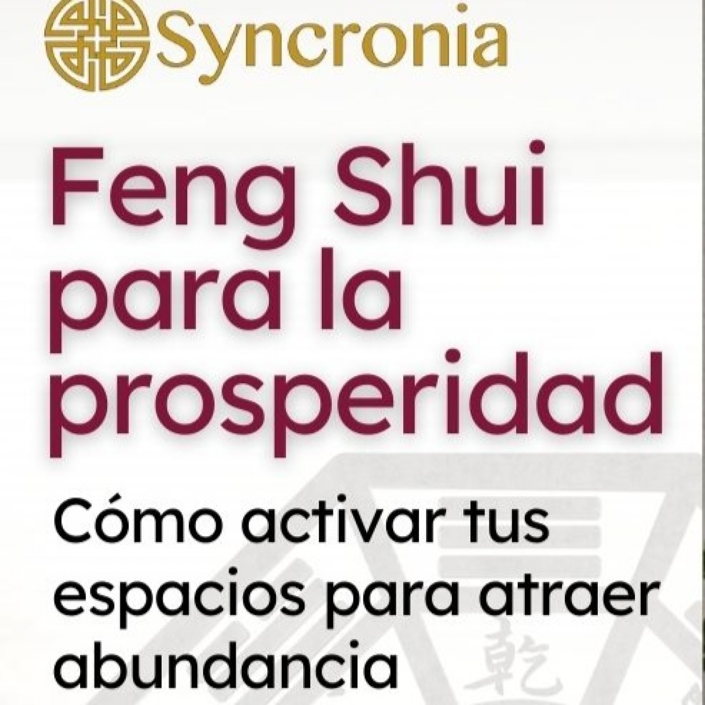 Charlas Syncronia