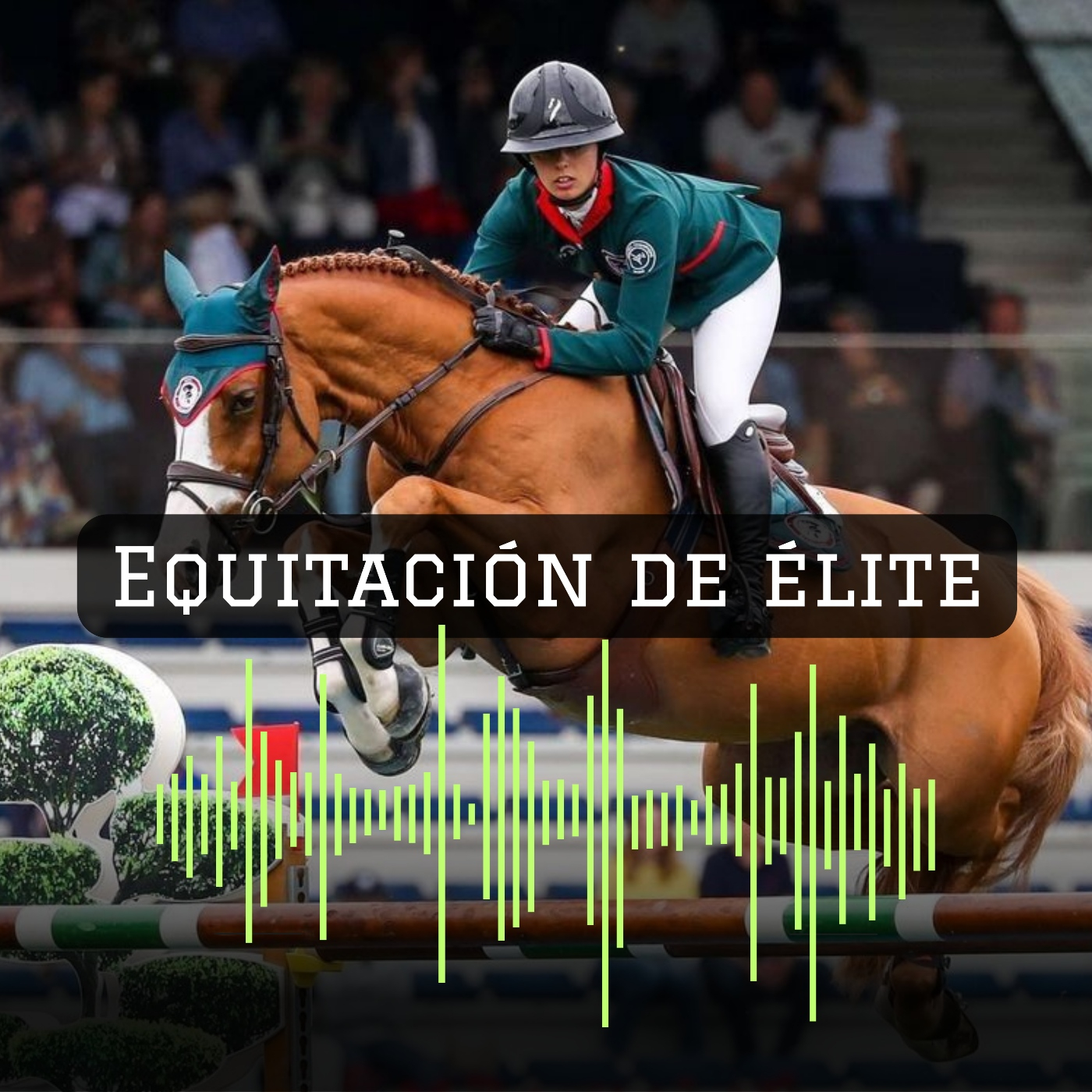 Mente de Campeón | Alto Rendimiento Deportivo