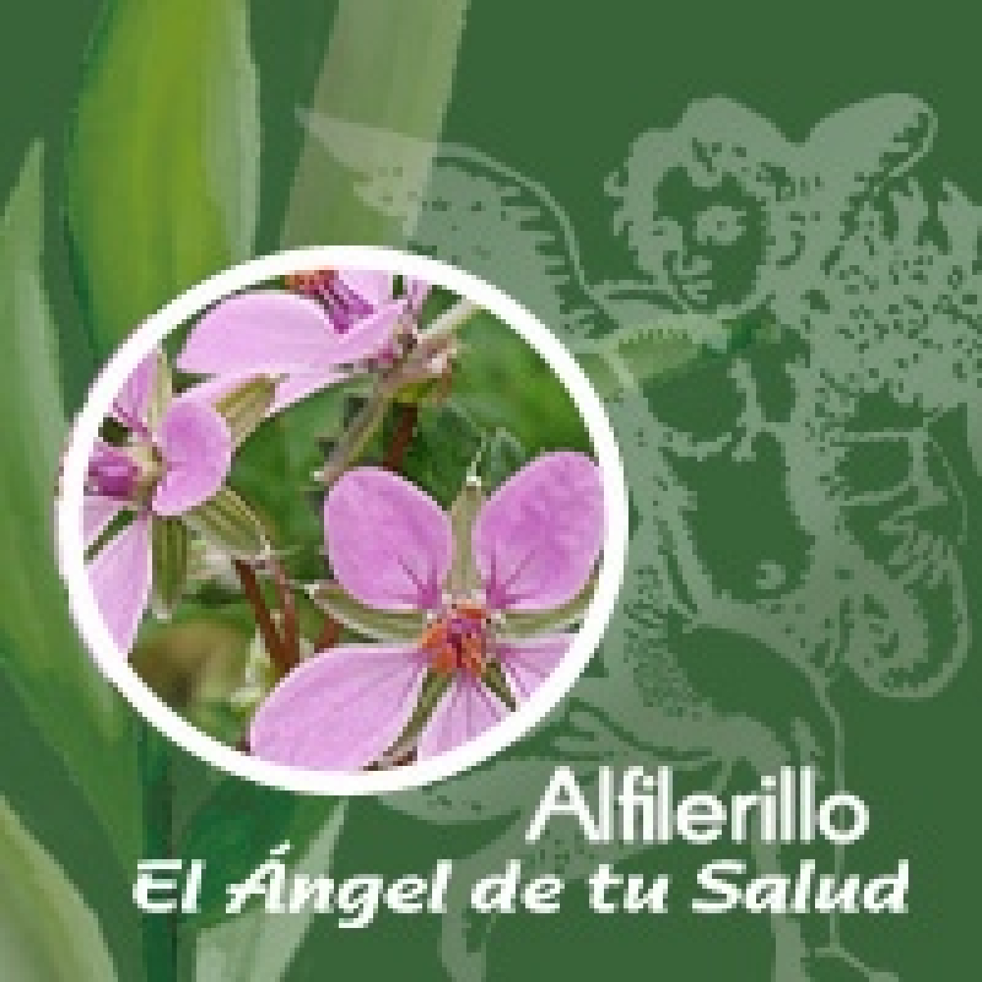 El Ángel de tu Salud - Alfilerillo ** episode artwork