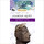 Roma Victrix