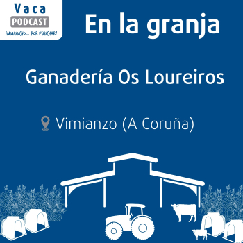 En la granja: Ganadería Os Loureiros