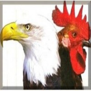 Aguila o gallina - Podcast SOI-D Quiroga - Podcast en iVoox