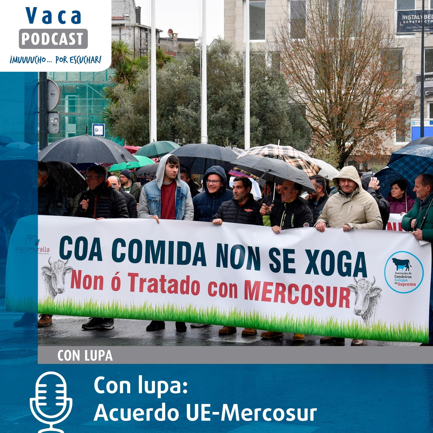 Con lupa: Acuerdo UE-Mercosur