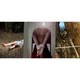 image collage1