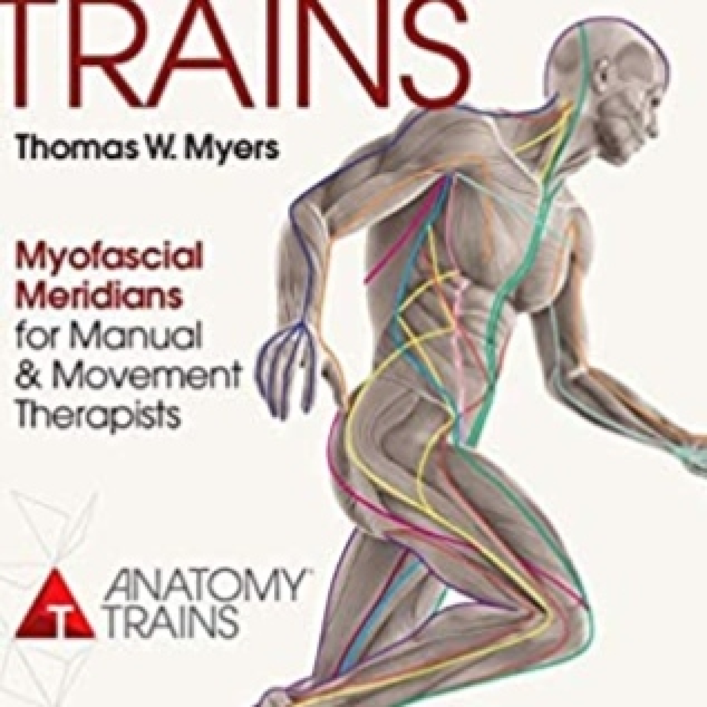 ANATOMY TRAINS PDF BOOK visual data 5