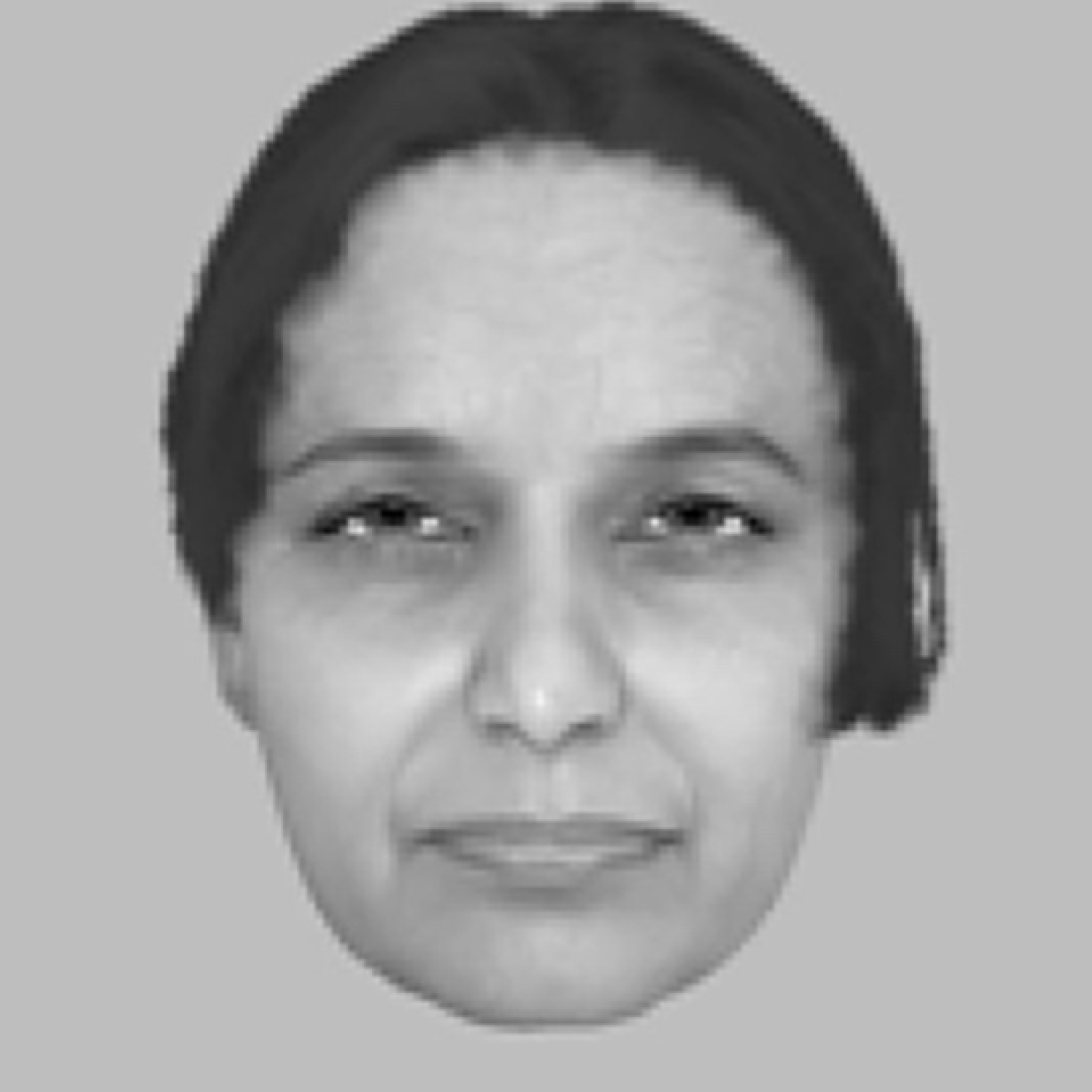 Interpol: Identify me