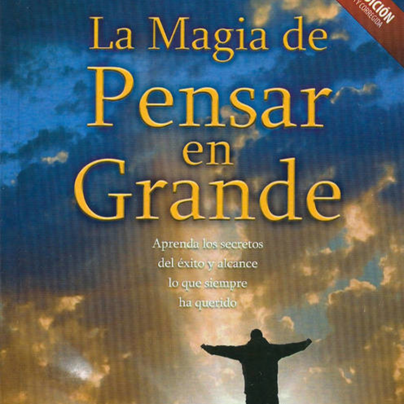 Salvador Mingo -Conocimiento Experto-