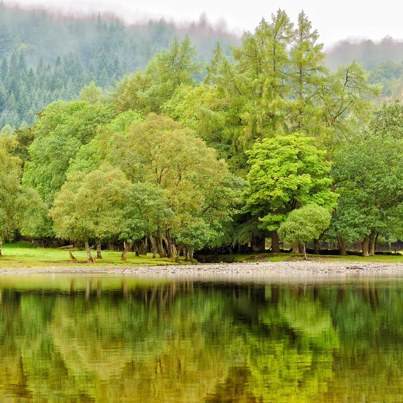 Entre Músiques 89. Ixkutuan... (valencià) episode artwork
