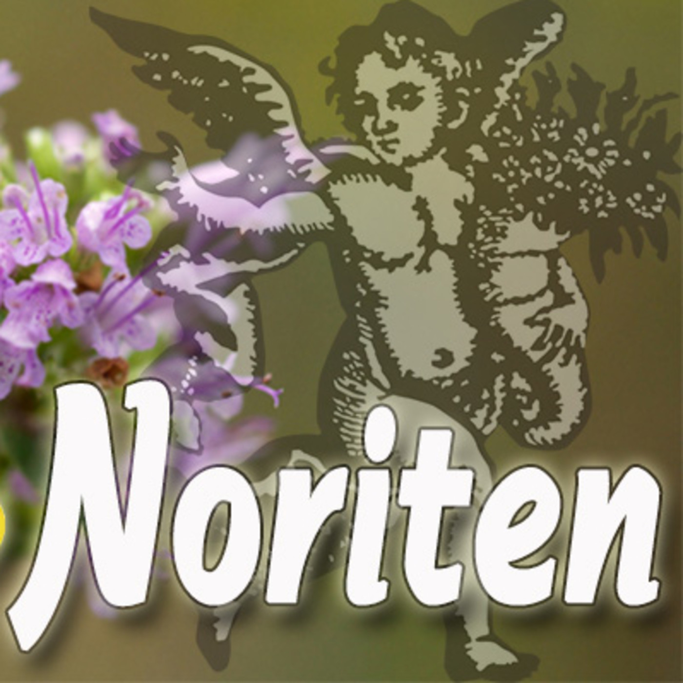 El Ángel de tu Salud - NORITEN episode artwork