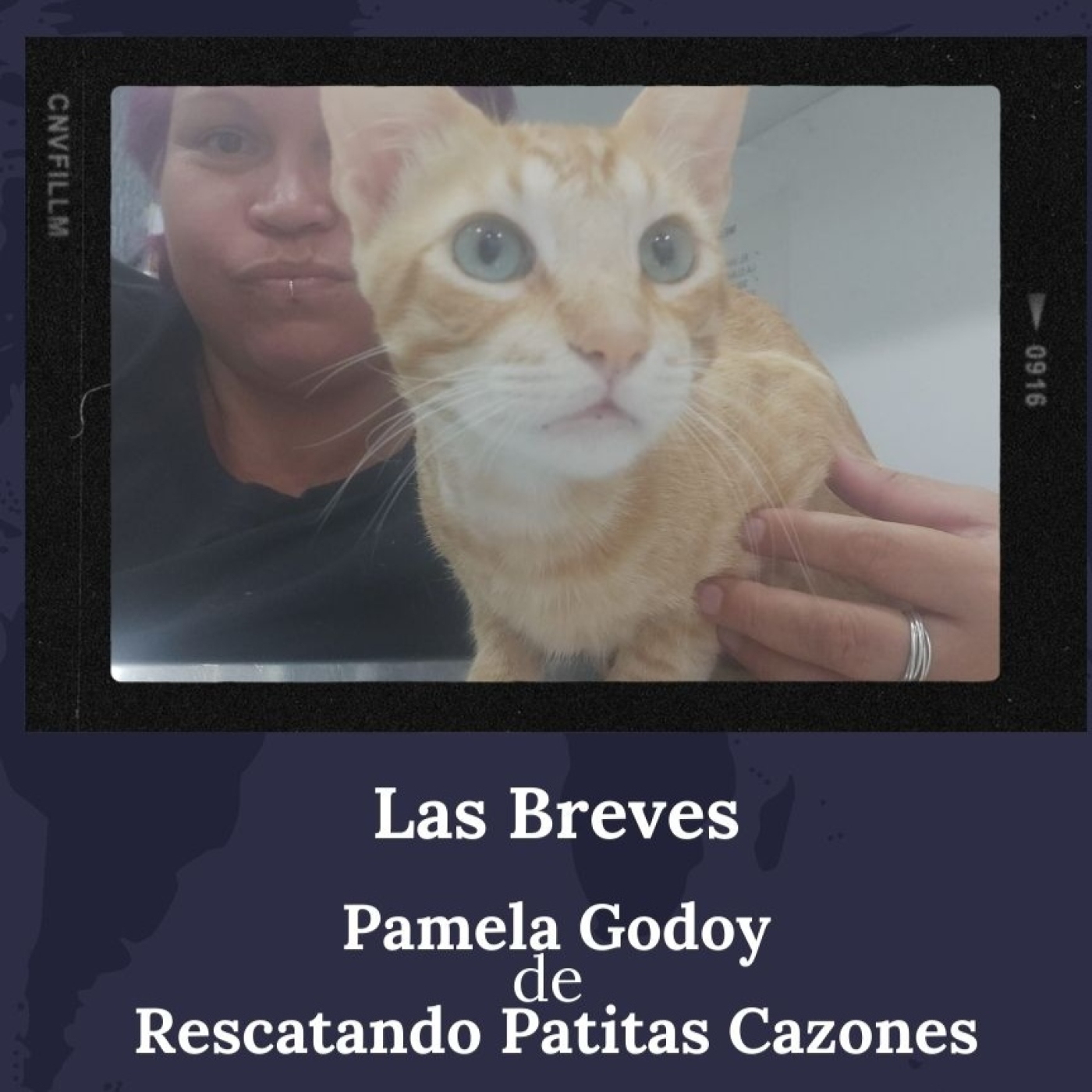 Todos Somos Animales News