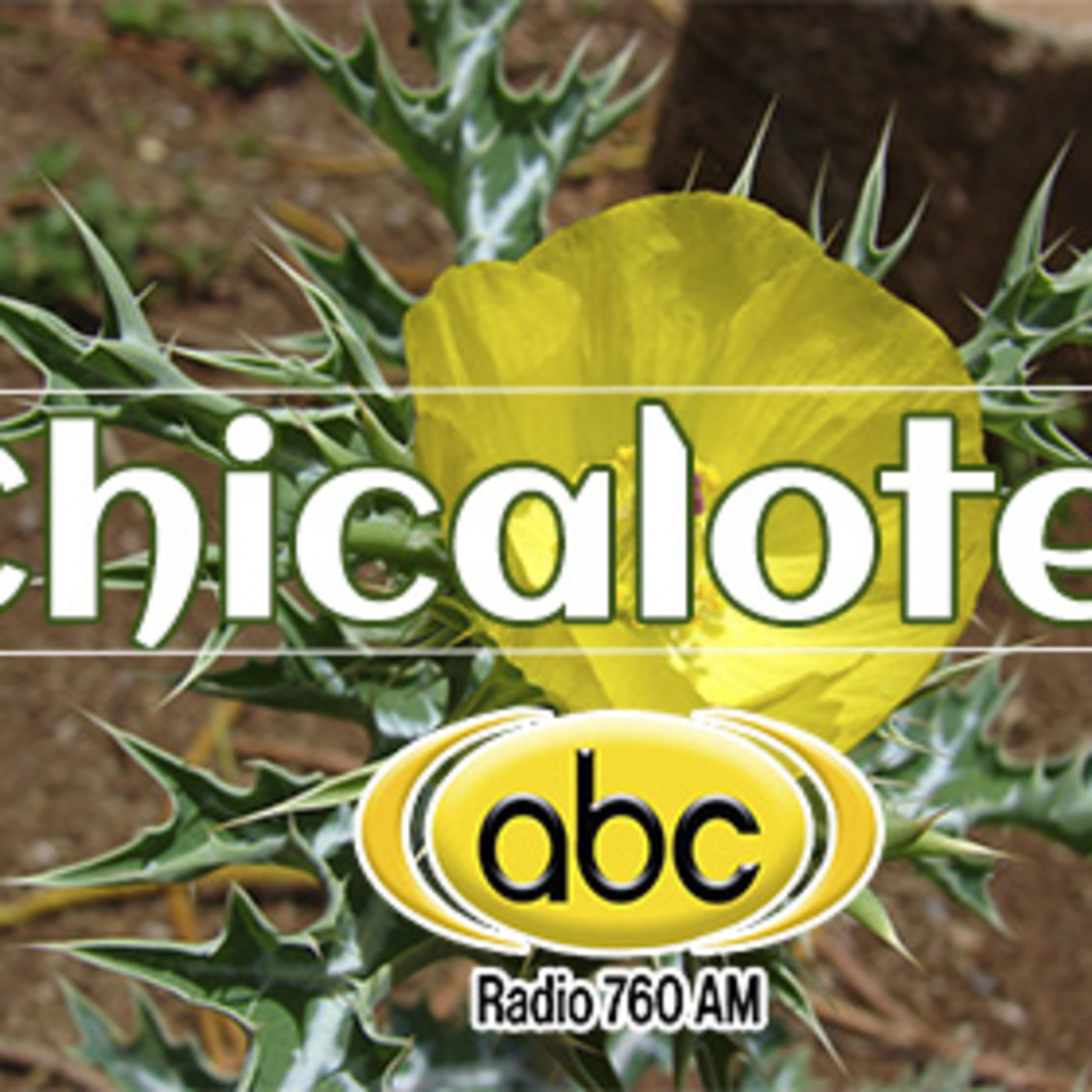 El Ángel de tu Salud - CHICALOTE I episode artwork