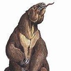 Miguel Ángel Fdez. y Javier Resines: HISTORIA DE LA CRIPTOZOOLOGÍA 8: CRÍPTIDOS POSIBLES. MAPINGUARI