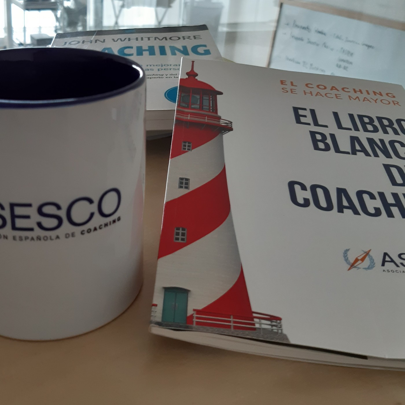 EL LIBRO BLANCO DEL COACHING