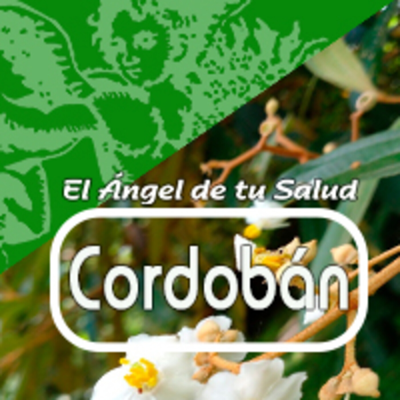 El Angel de tu Salud - CORDOBÁN ****