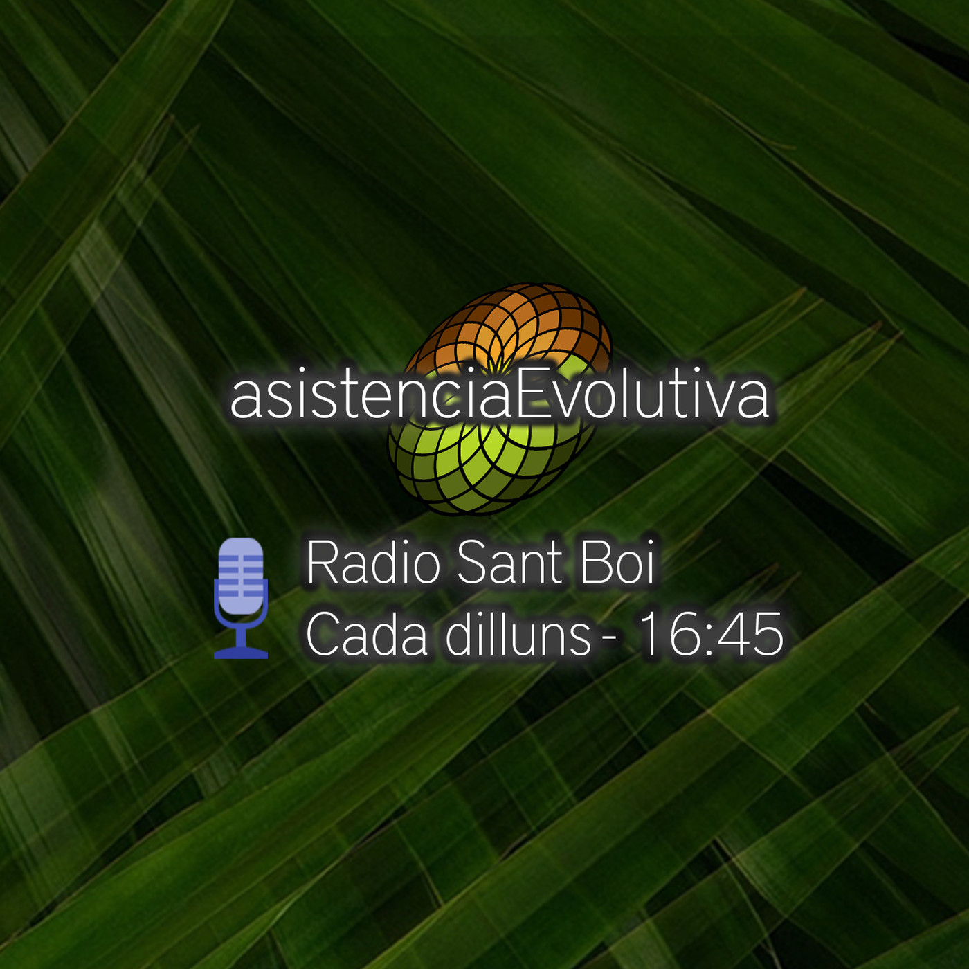 Asistencia Evolutiva - Programas de Radio