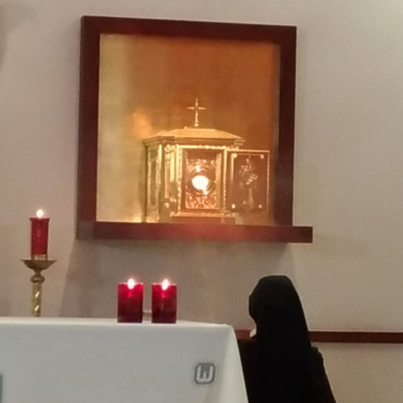 Adoraciones Samaritanas