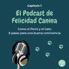Como el Perro y el Gato