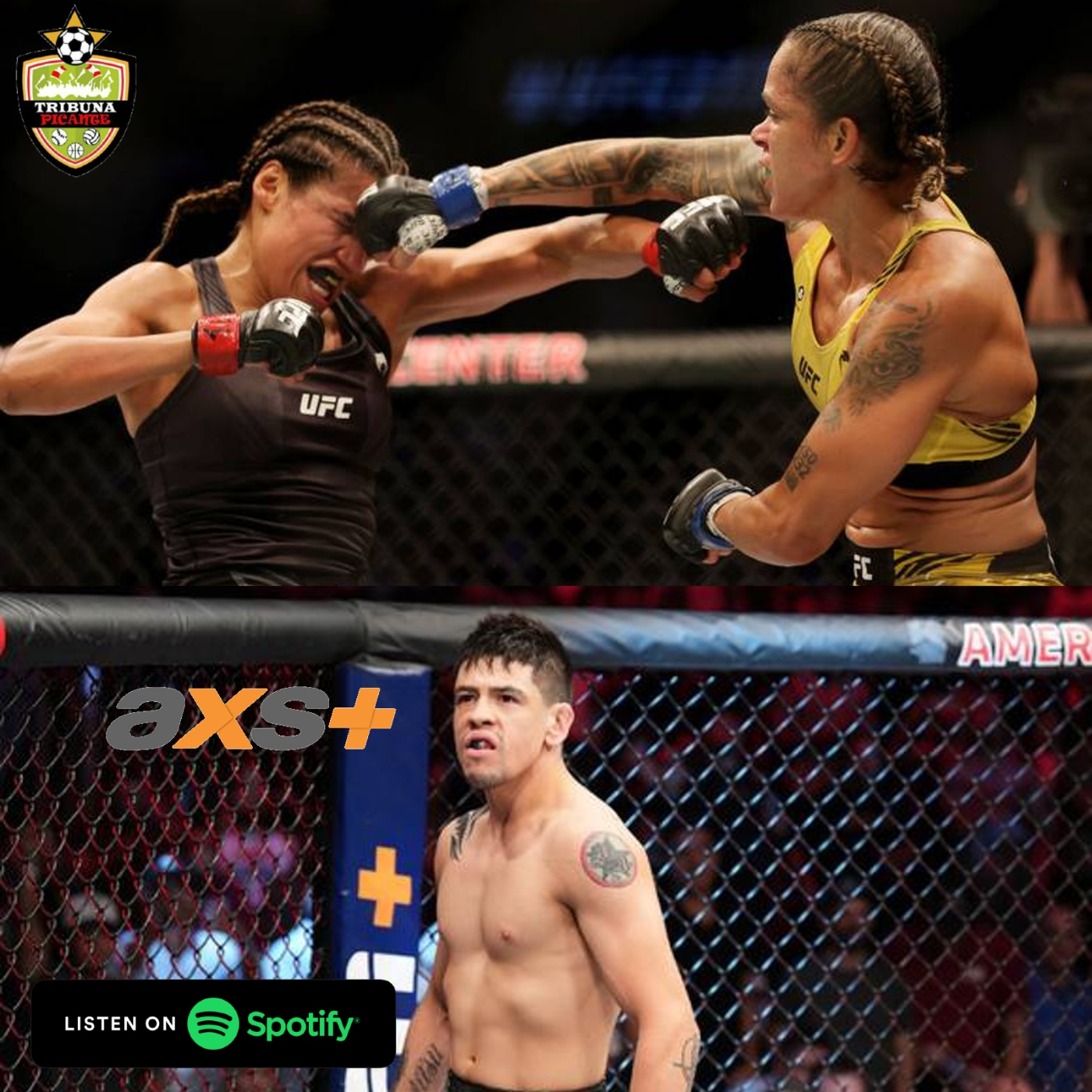 Análisis del UFC 277