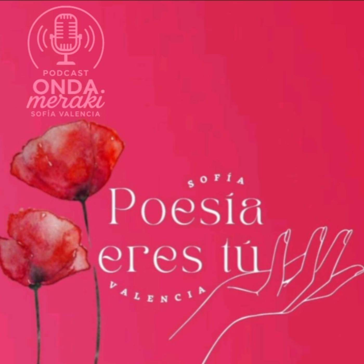 POESÍA ERES TÚ/ONDA MERAKI