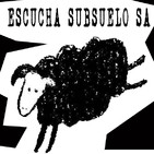 Programa #279