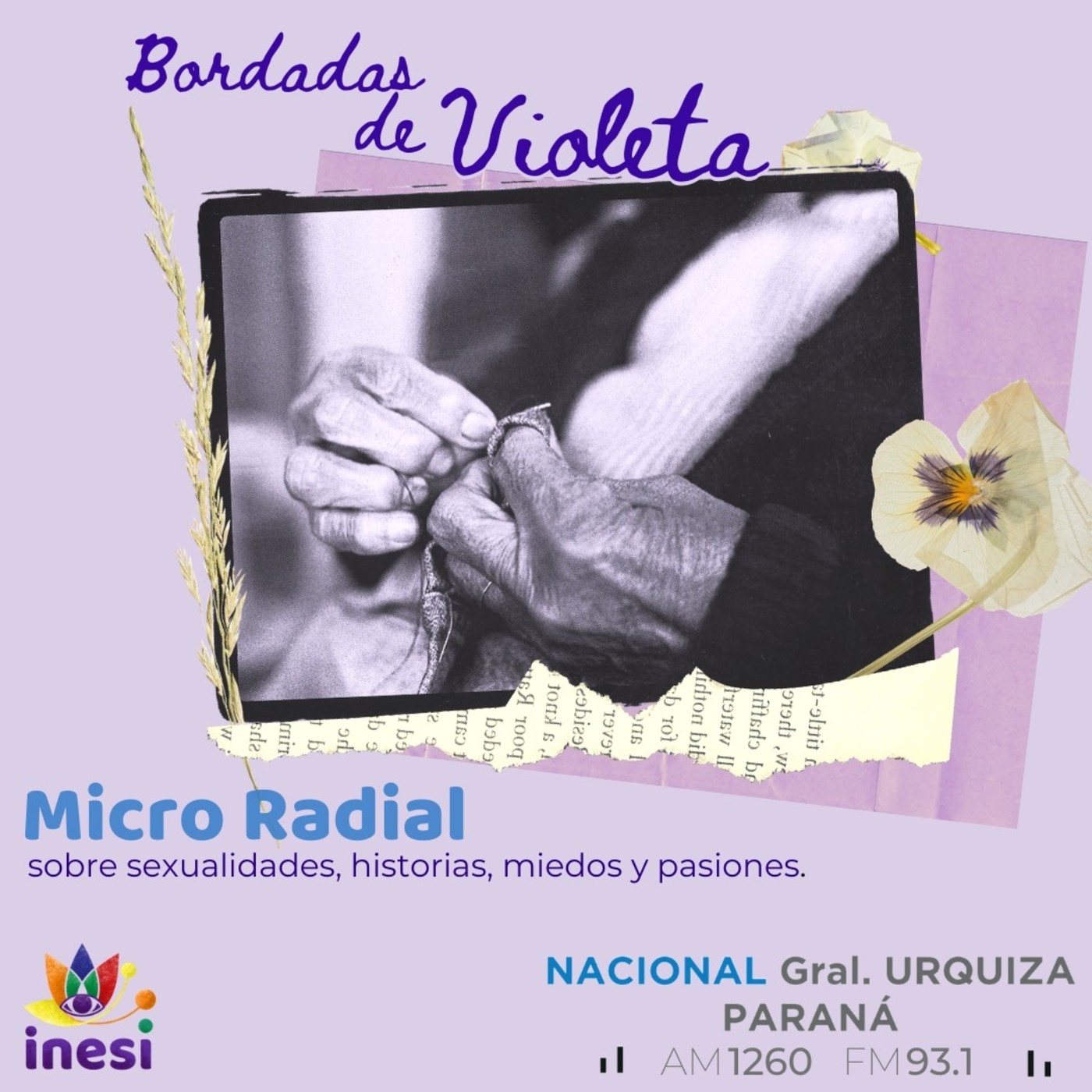 Bordadas de Violeta - Cap 11 a 21