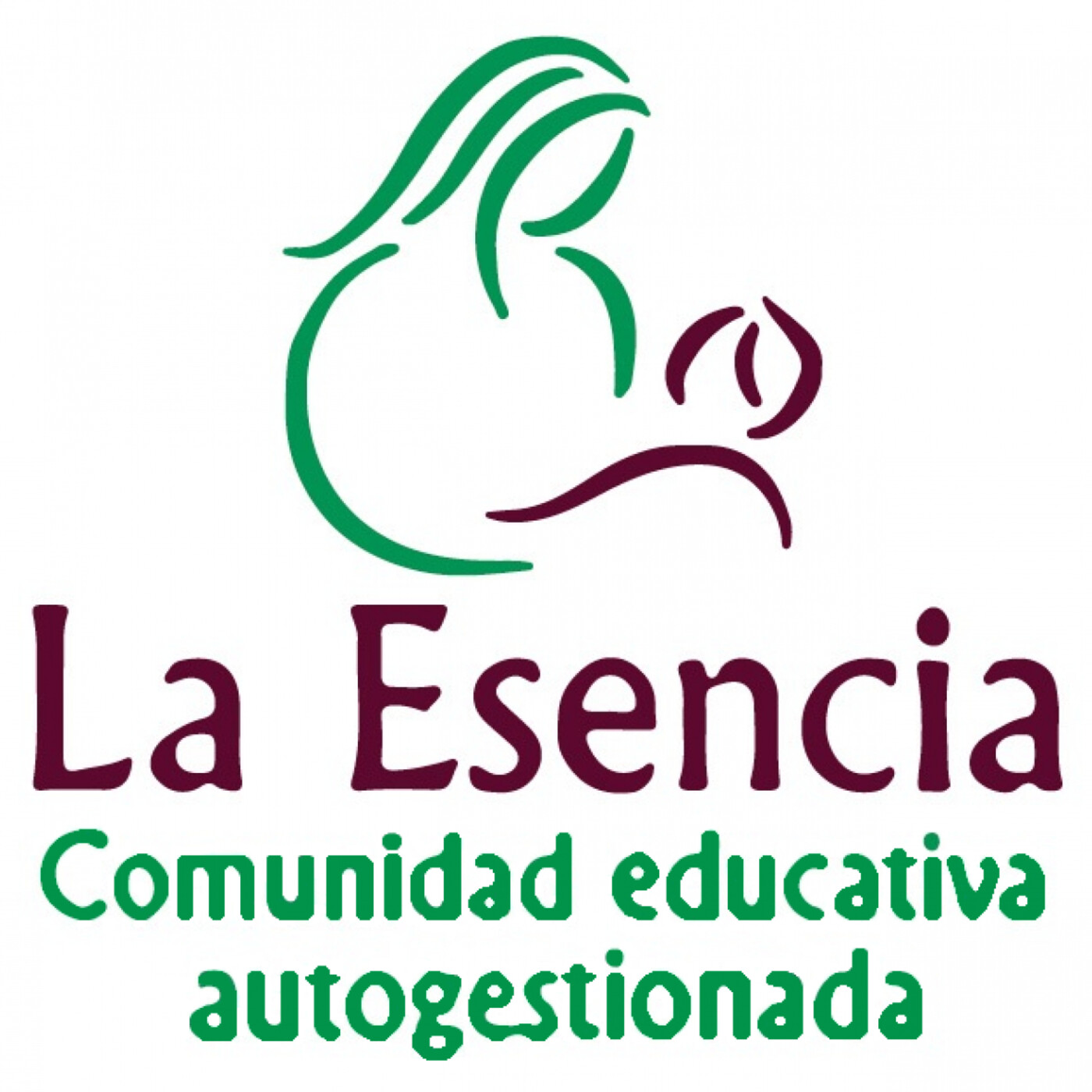 No Hay Recetas Pero Sí Hay Ingredientes