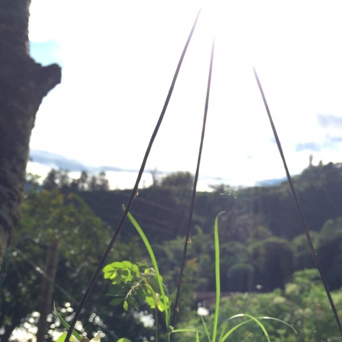 Audios Meditación Fundación Vivenkha