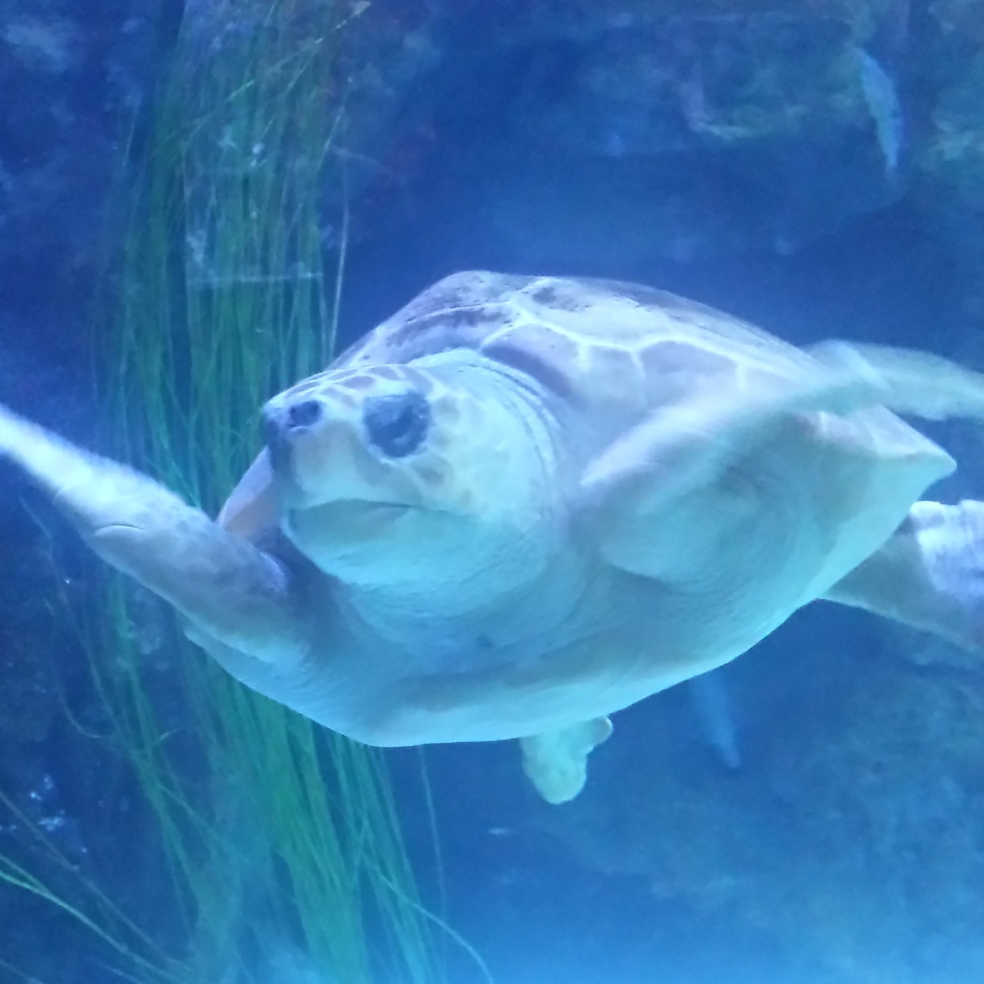 Nuestra Mente es Maravillosa