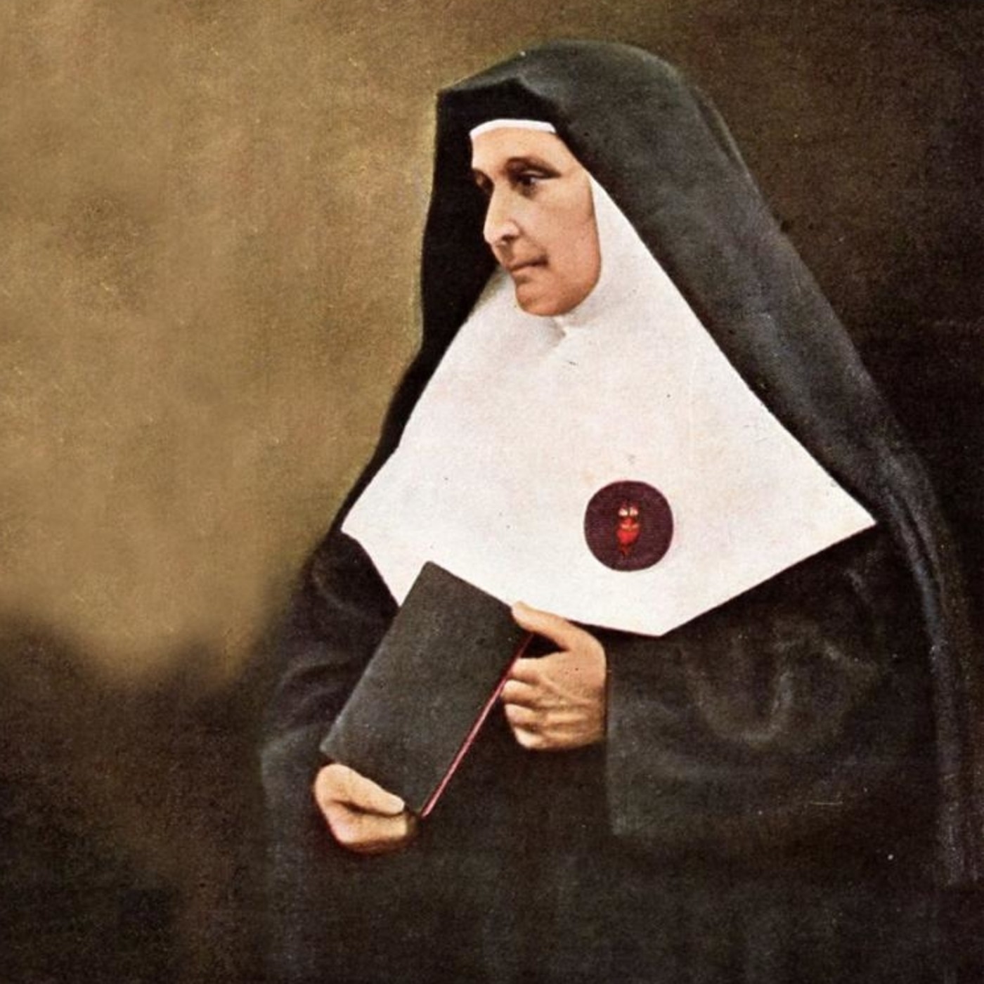 Homilías, entrevistas, varios Católicos