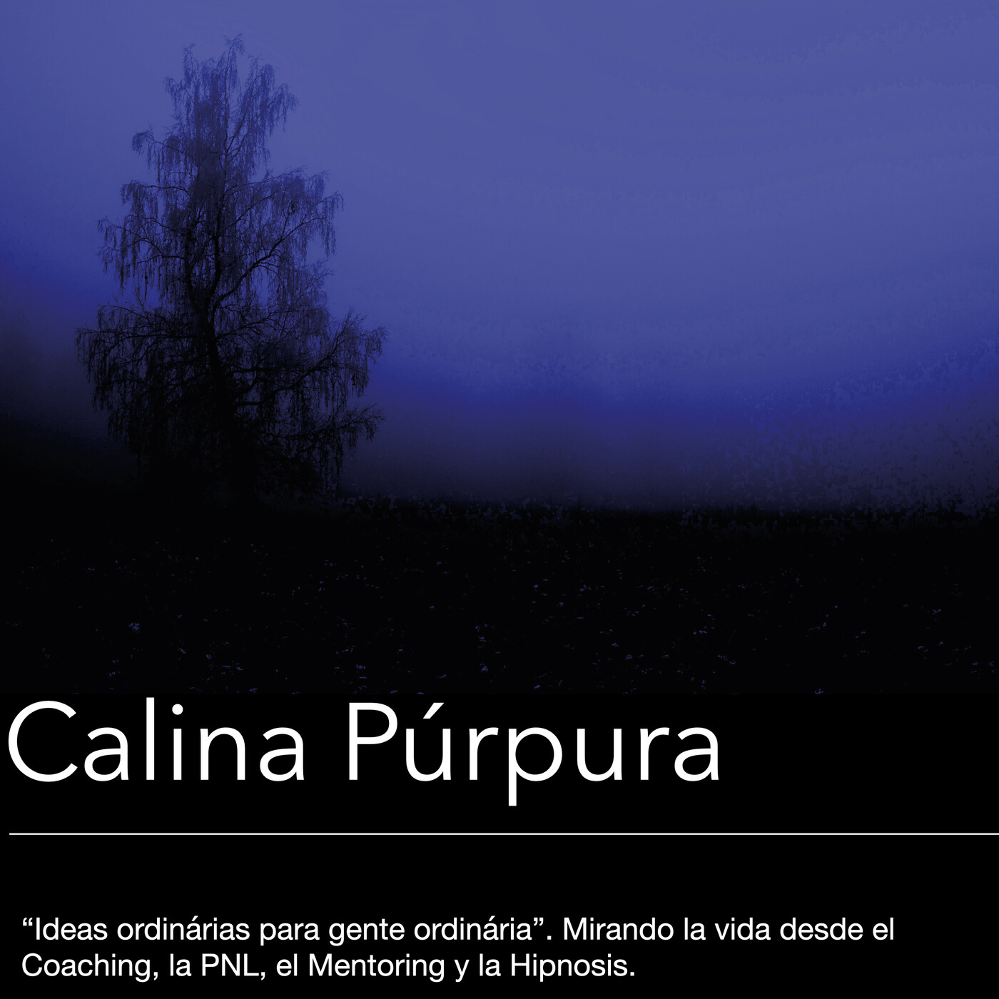 Paul Anwandter, Marisol Castillo y Silvana Trigo