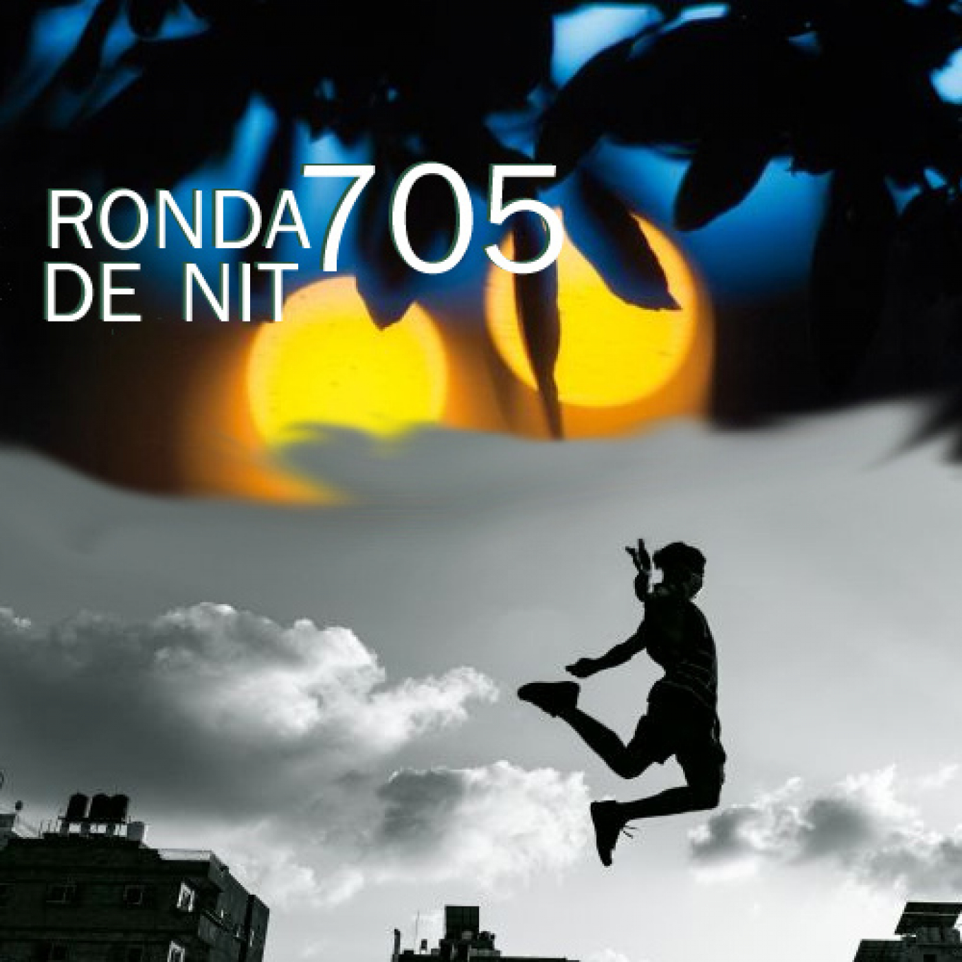 Ronda de Nit