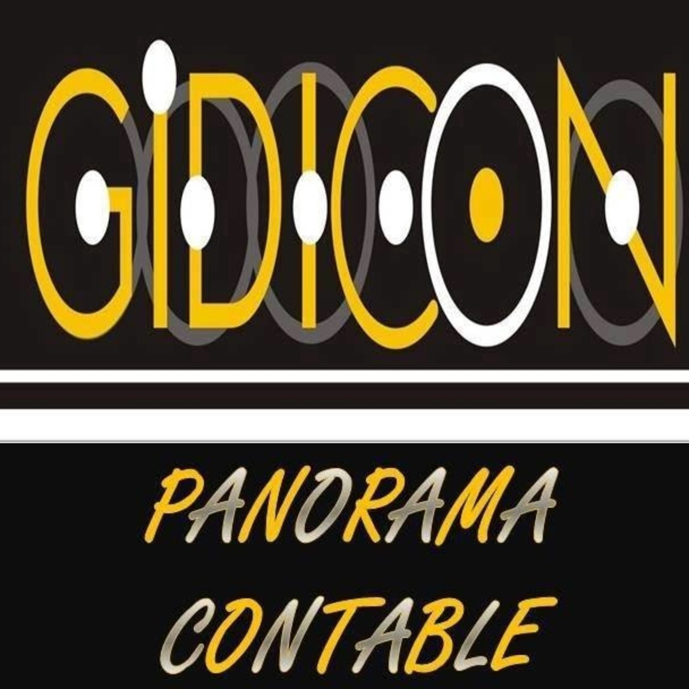 Panorama Contable