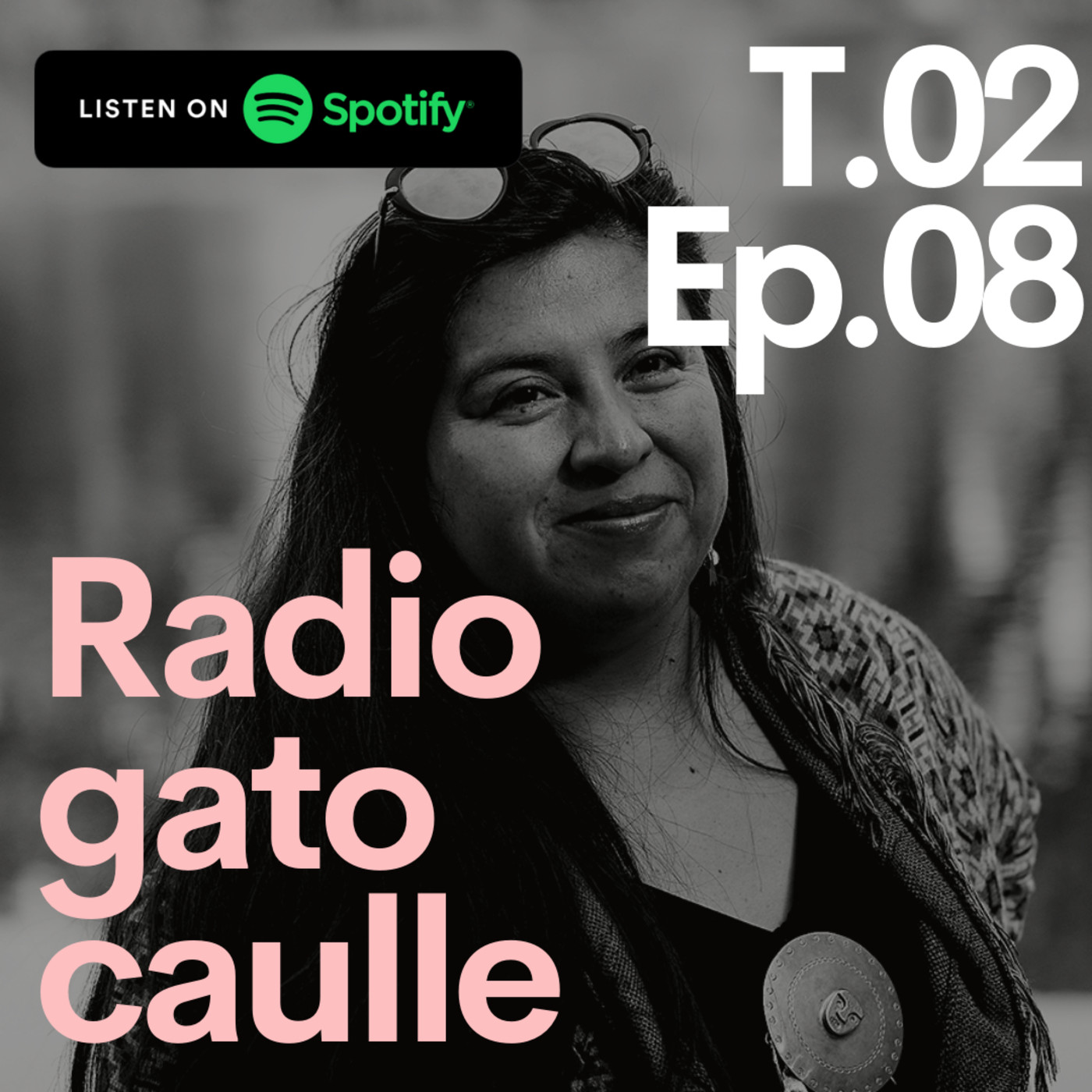 Radio gato Caulle: Temporada 1 y 2