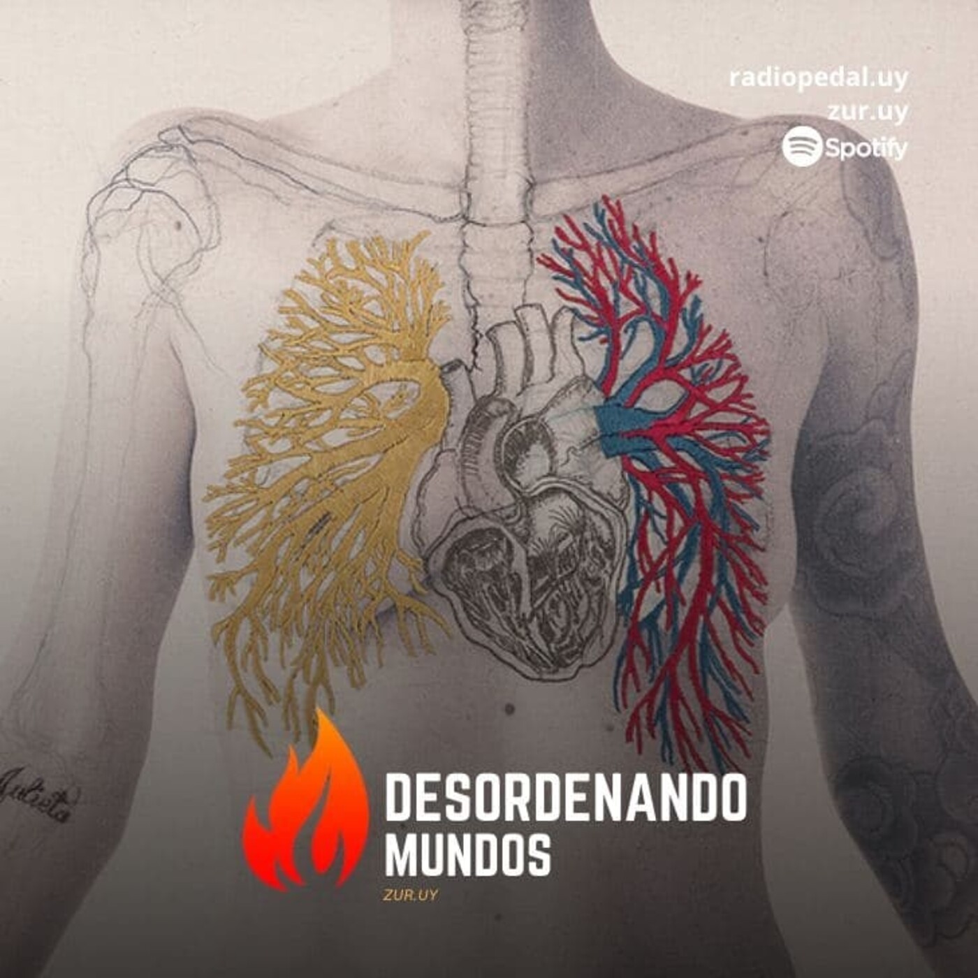 Dm #35: Programa Completo. Salud y autocuidado (30-06-21) episode artwork