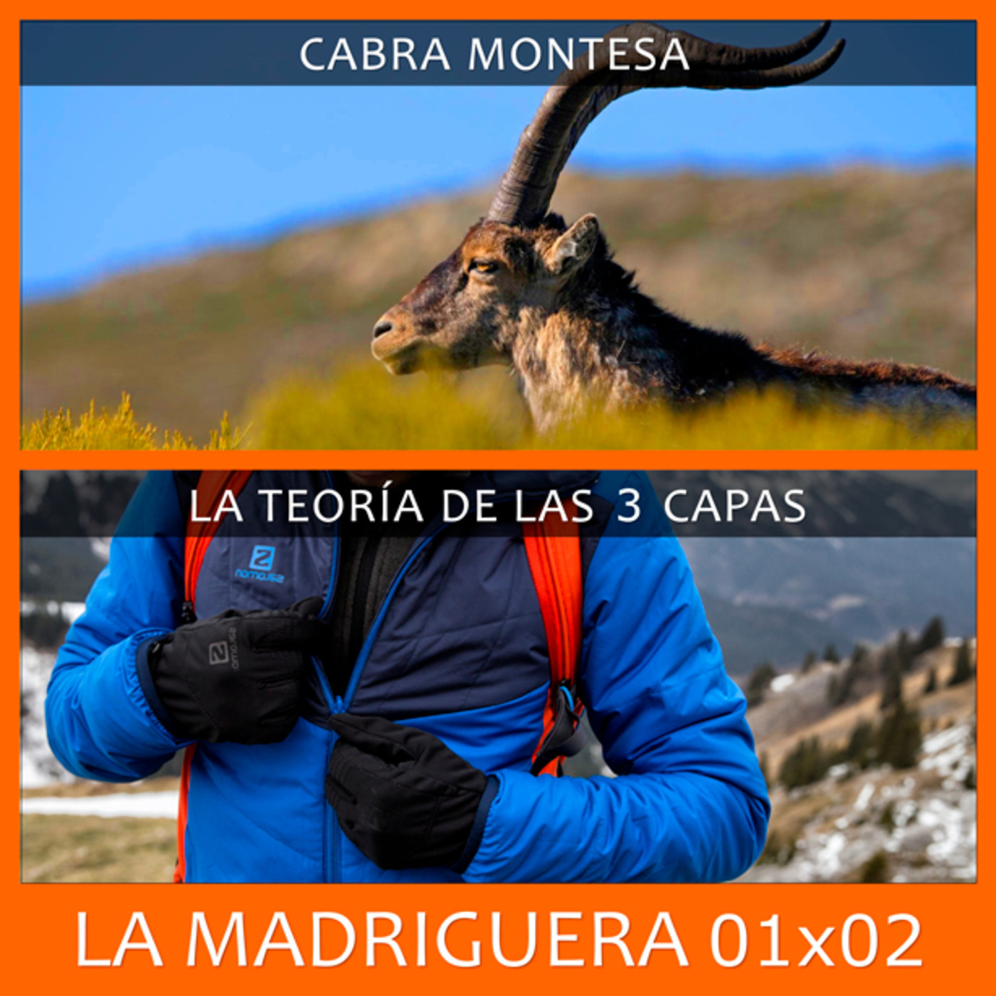 LA MADRIGUERA
