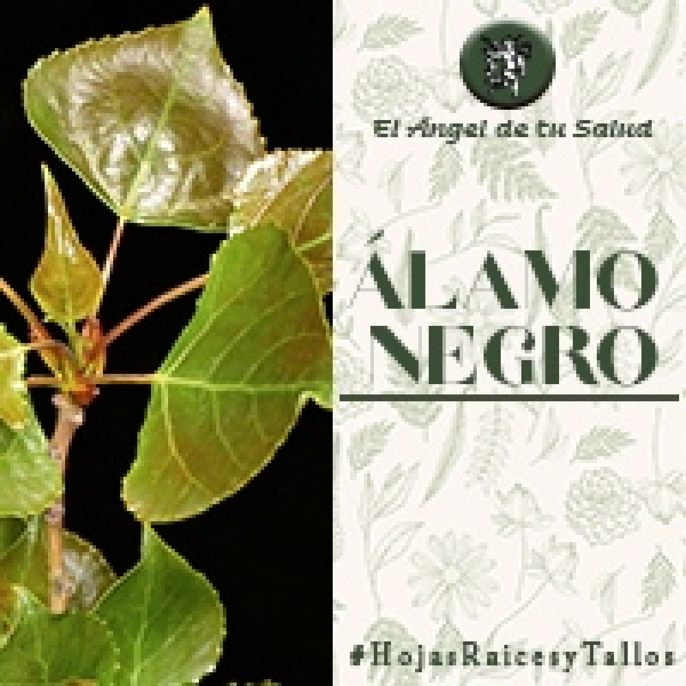 El Ángel de tu Salud - Álamo Negro** episode artwork