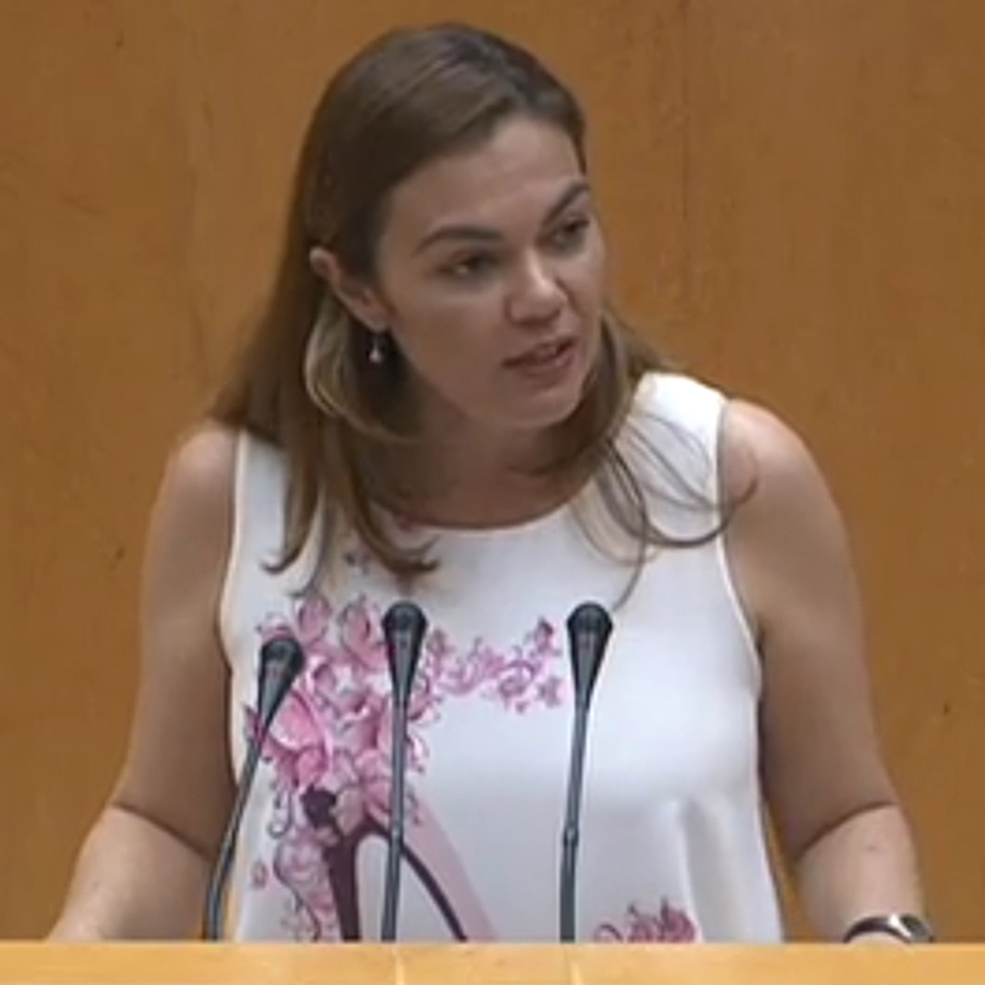 Nueva Canarias Senado