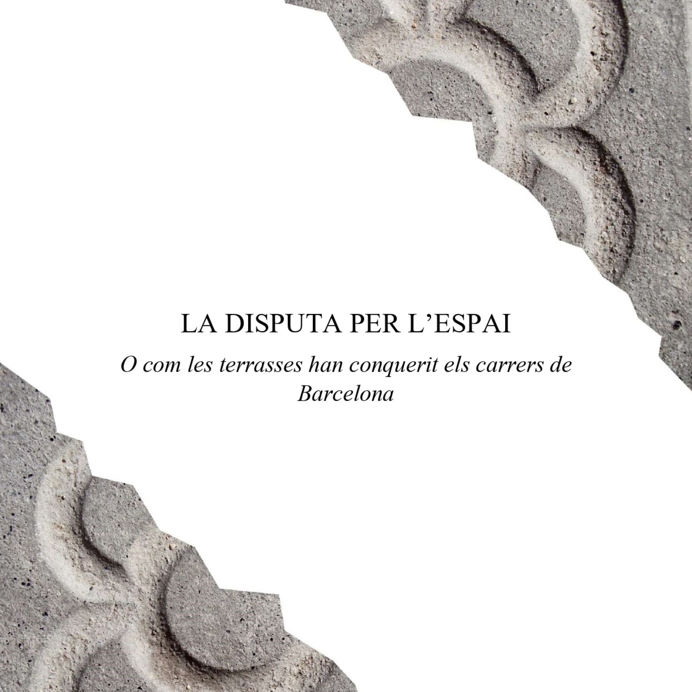 Entrevistes Treball de Recerca (2018-2019)
