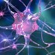 Las neuronas
