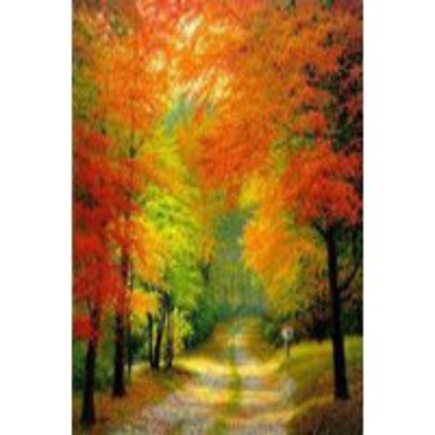 Podcast Audio Lecturas Nerim