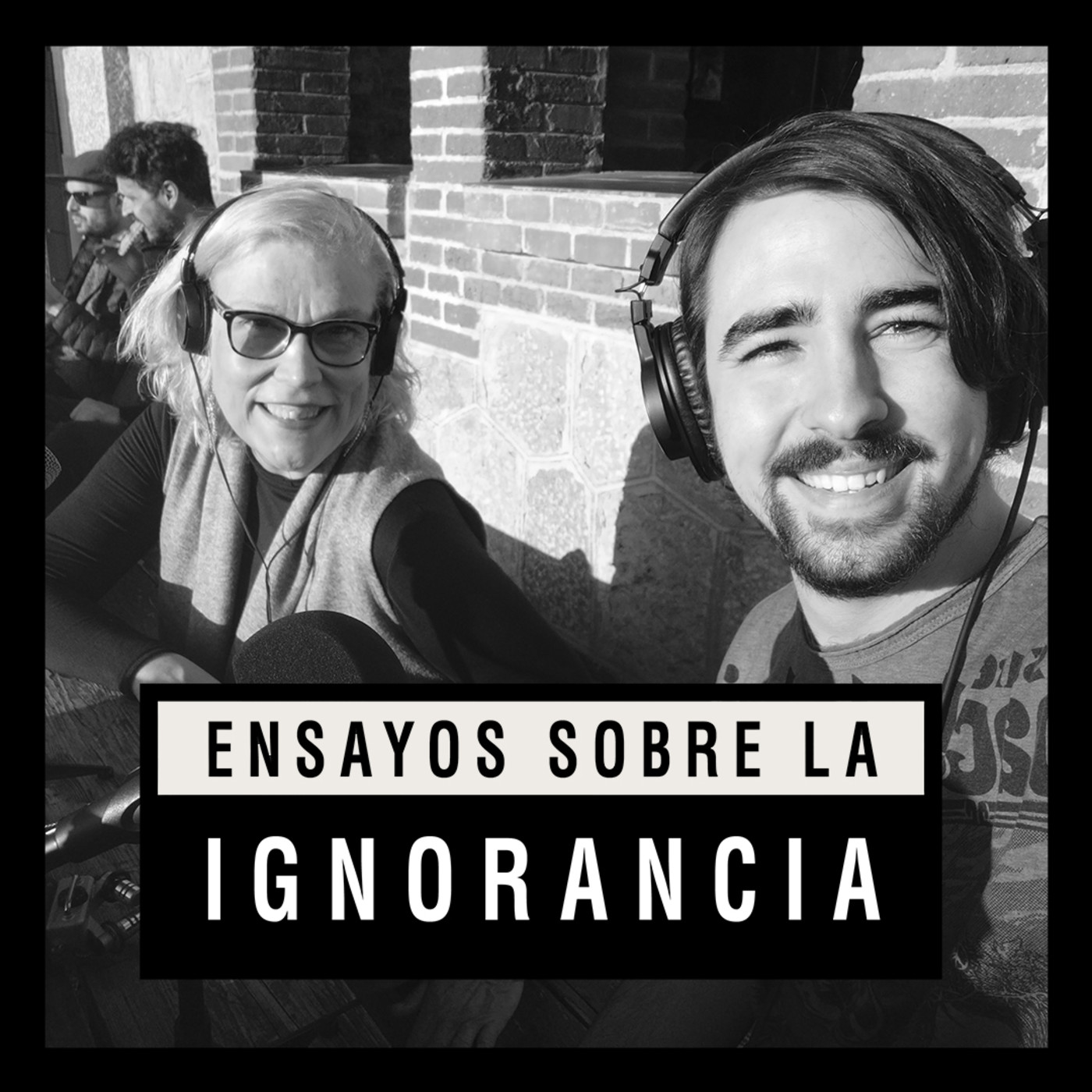 Ensayos sobre la ignorancia