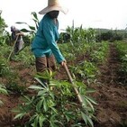Campesinos floridanos reafirman compromisos productivos