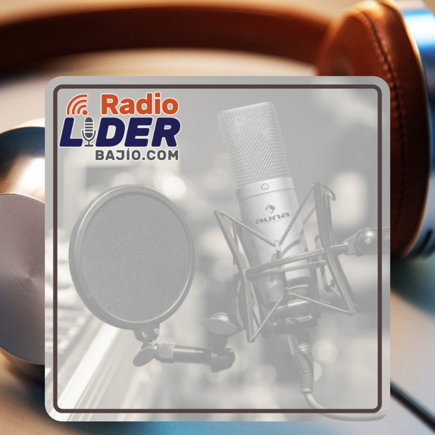 ENTRETENIMIENTO RADIO LÍDER BAJÍO