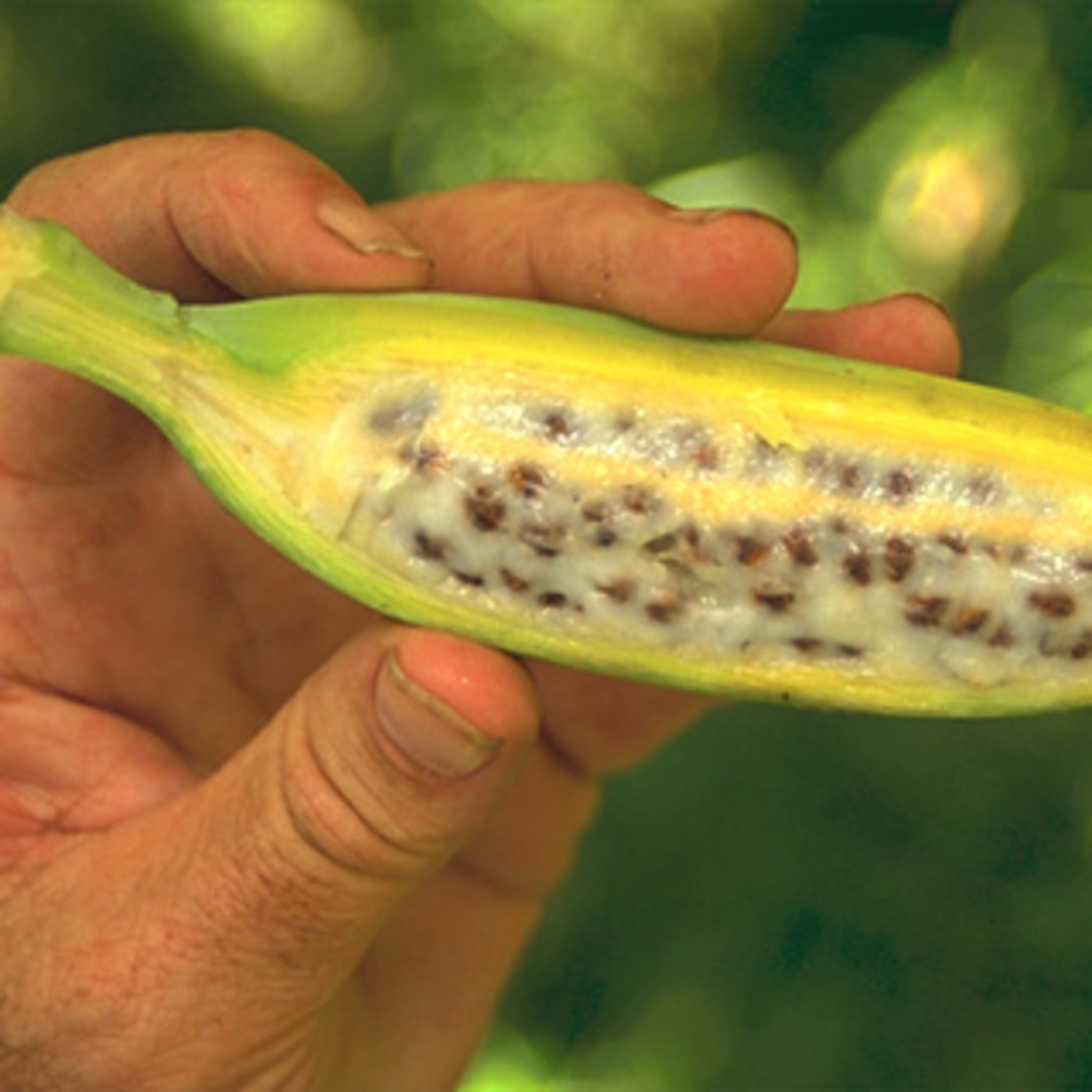 Algo pasa con Miguel