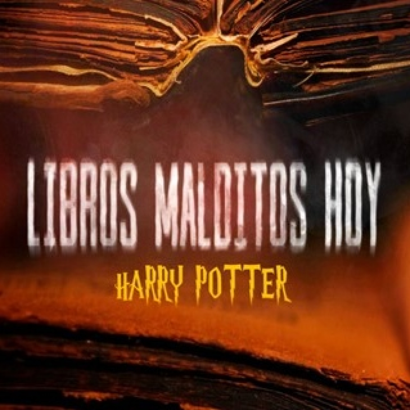 Cuarto Milenio: Libros malditos : Harry Potter