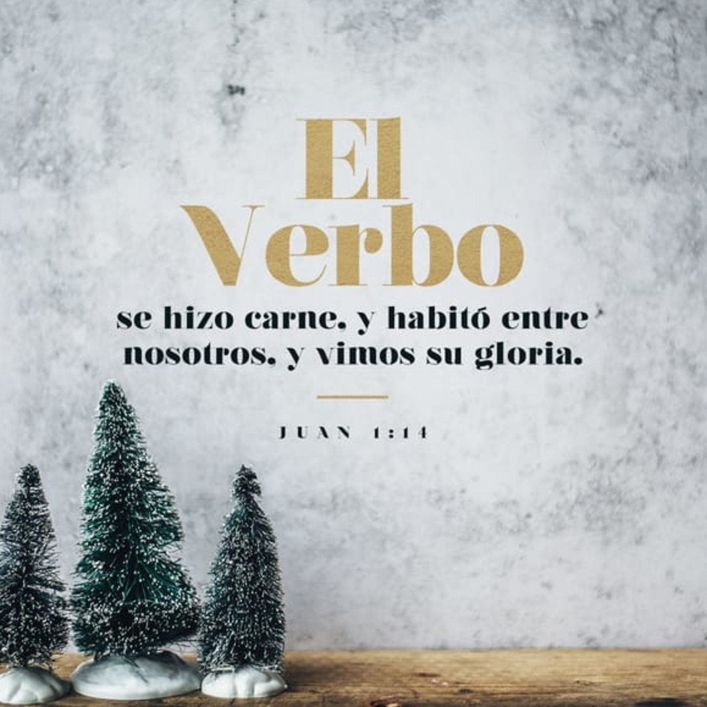 Sermones