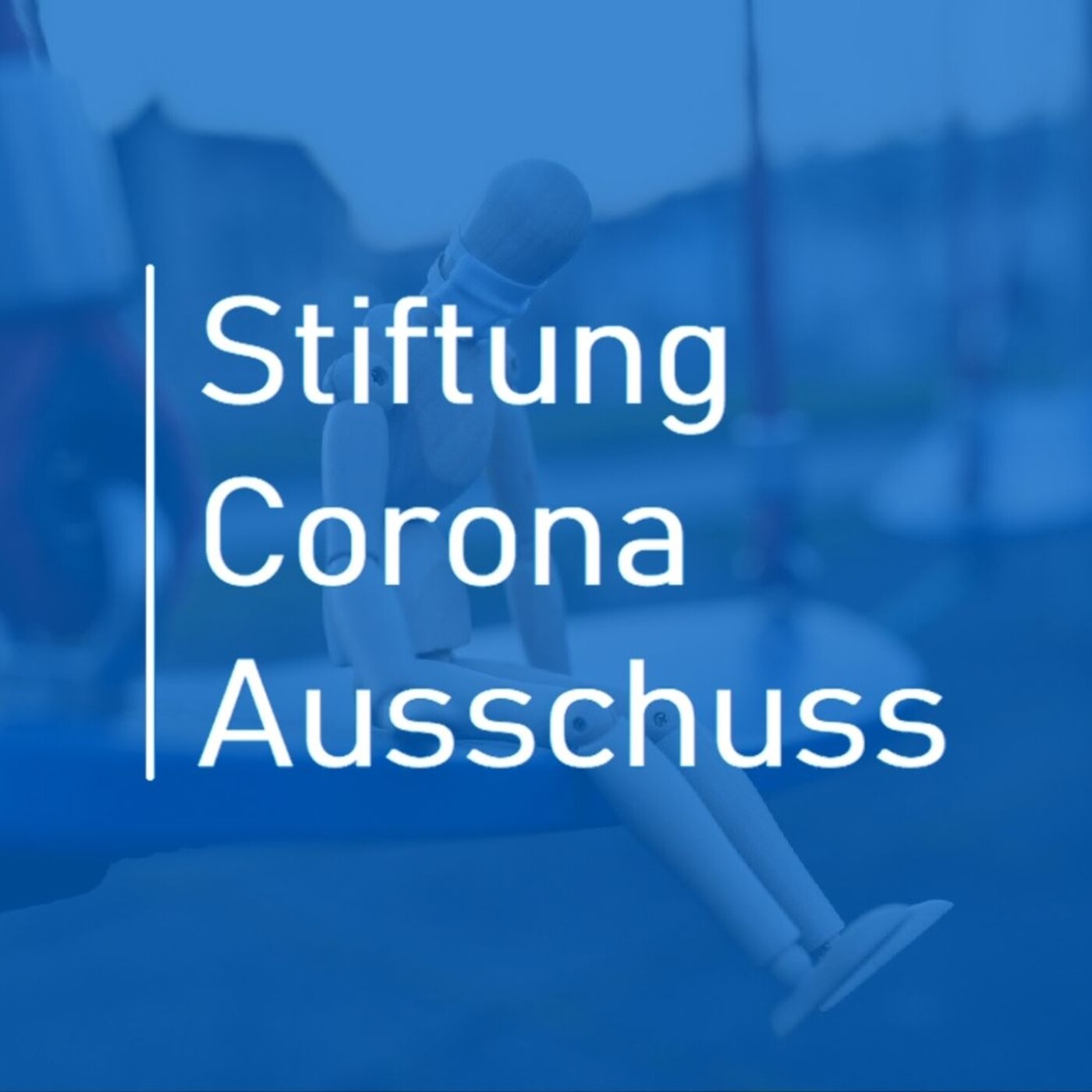 Anhörungen | Stiftung Corona-Ausschuss